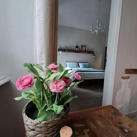 Message In A Bottle ,relax E Calore Apartment